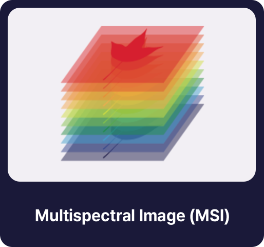 Multispectral lmage (MSI)