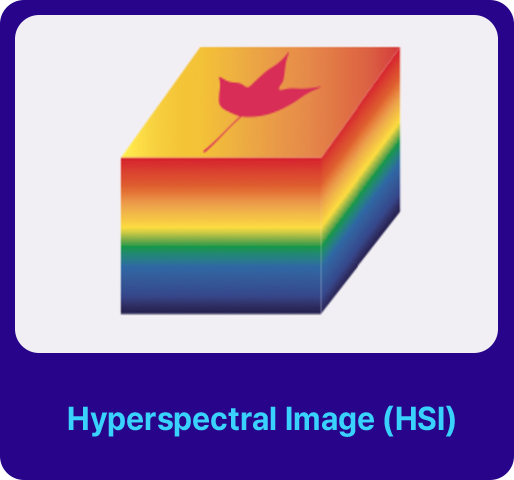 Hyperspectral Image (HSI)
